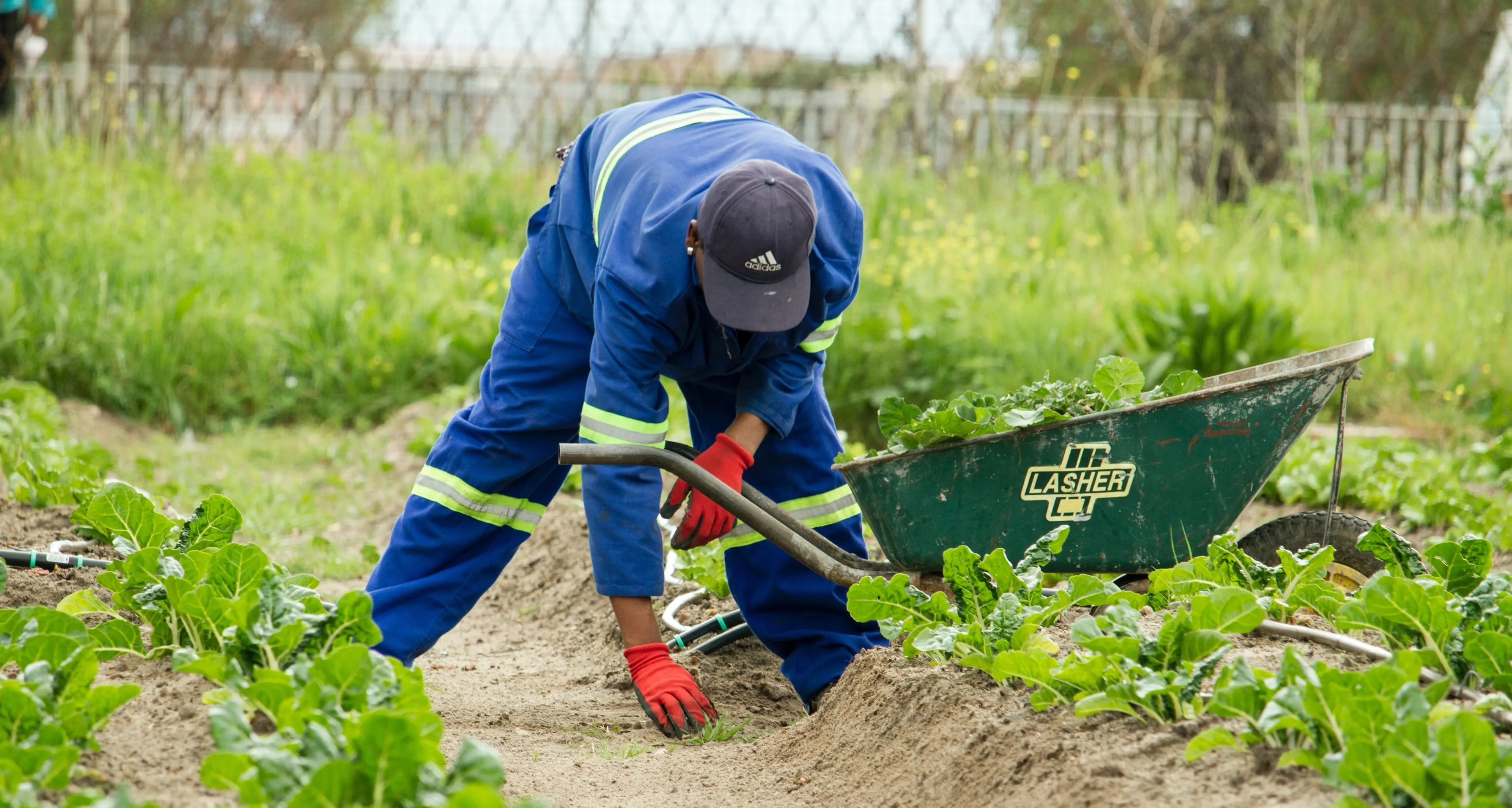 I lavoratori agricoli protestano al Senato il 31 marzo