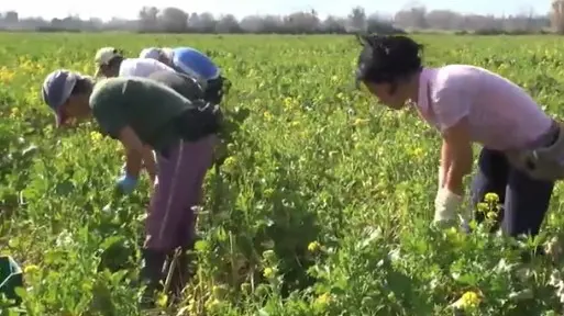 Una battaglia di legalità