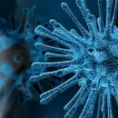 Conoscere il Coronavirus: parola all'esperto