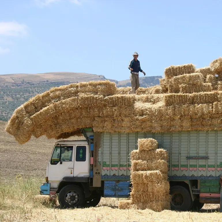 Ghetti e Pnrr, totale fallimento