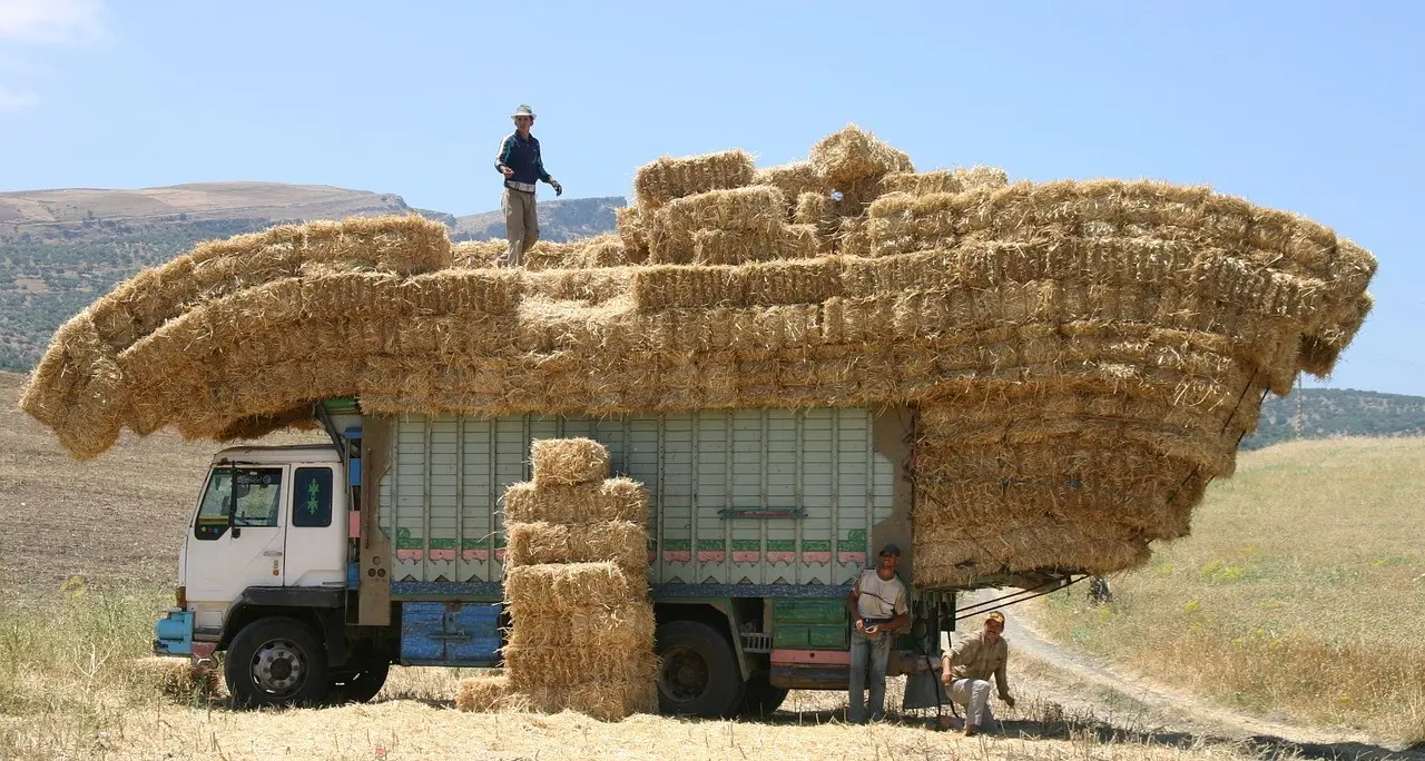 Ghetti e Pnrr, totale fallimento