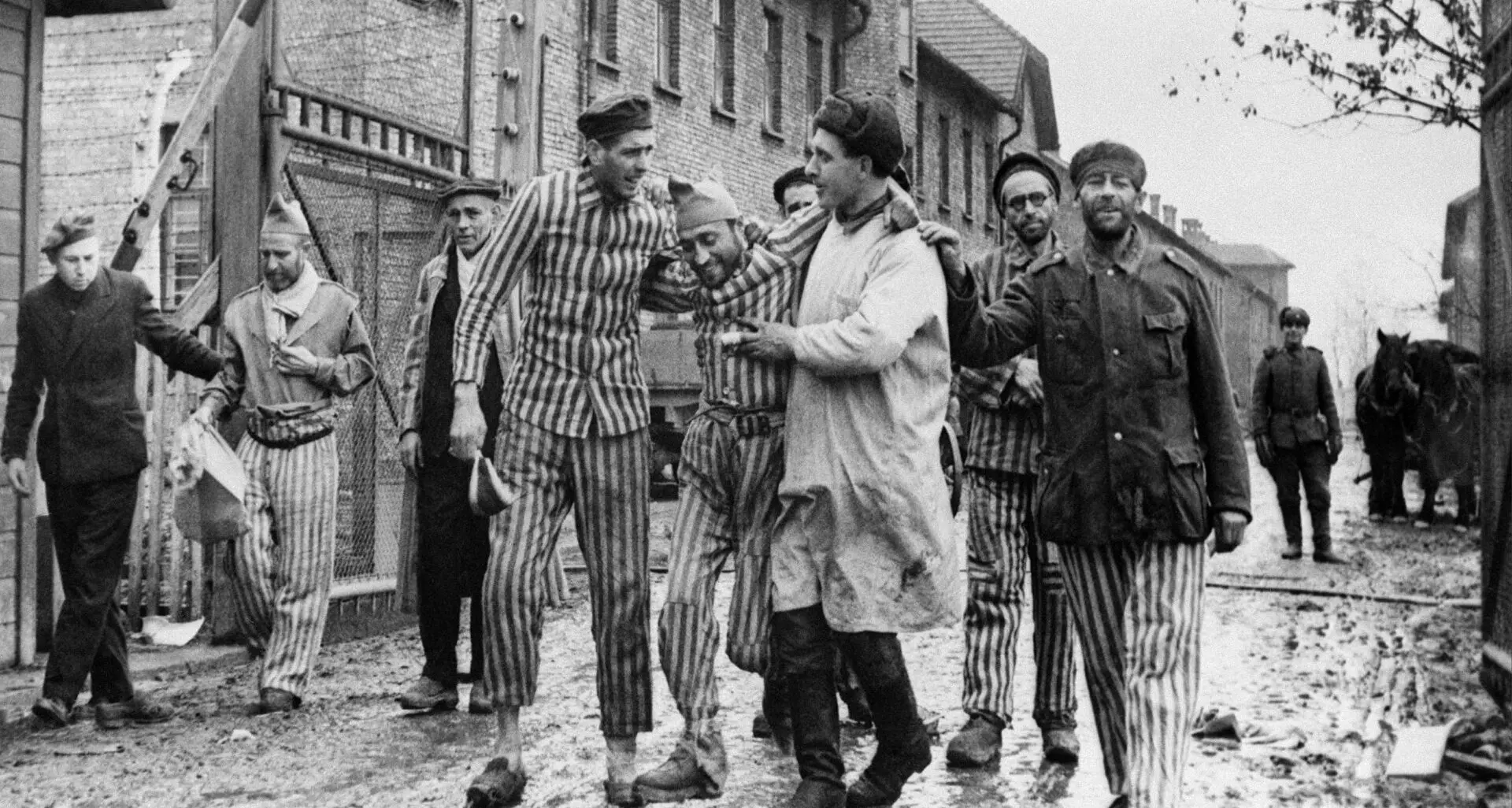 Fuori da Auschwitz: quando i sovietici liberarono gli ultimi prigionieri dal campo della morte