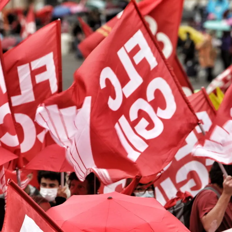 Goethe-Institut Italia, Flc Cgil: ritirare i licenziamenti