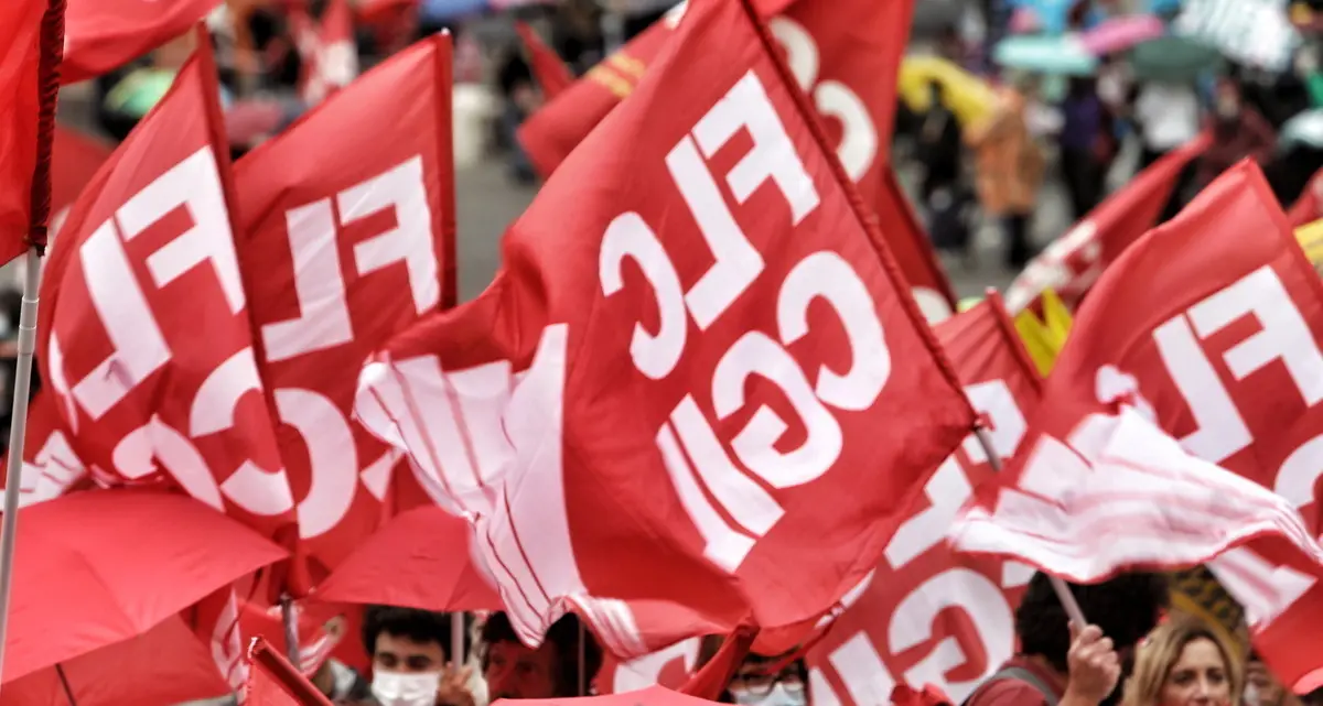 Goethe-Institut Italia, Flc Cgil: ritirare i licenziamenti