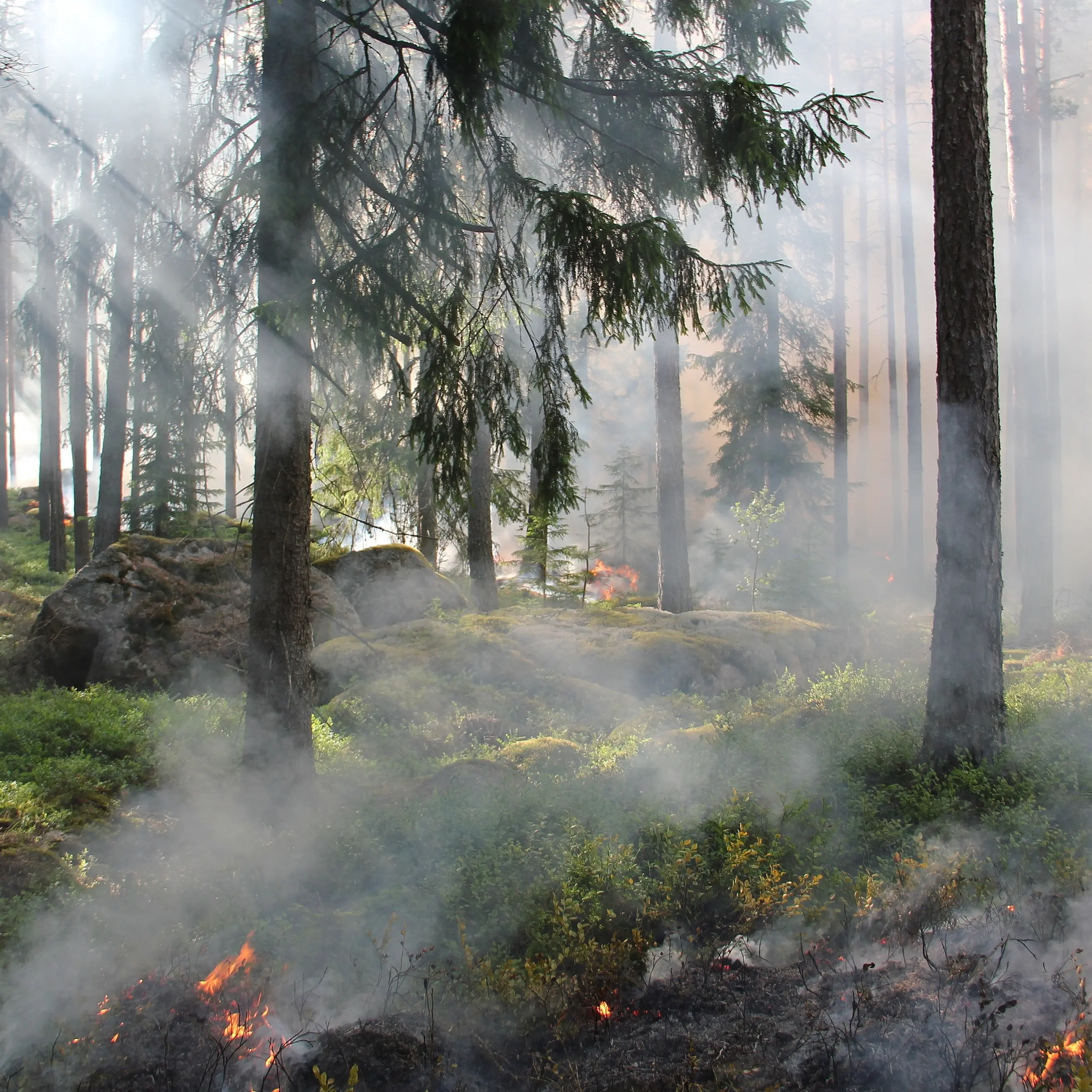 Forestas, indetto stato d'agitazione: «Mancano gli automezzi antincendio»