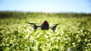 Un drone controlla i campi, Photoshop/Sintesi