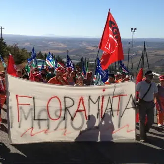 Floramiata: dall'assemblea via libera all'accordo con Amiata Flor