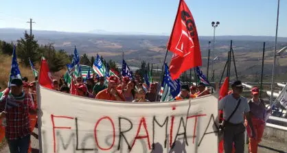 Floramiata: dall'assemblea via libera all'accordo con Amiata Flor