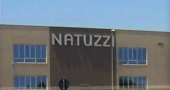 Natuzzi, piano industriale a rischio