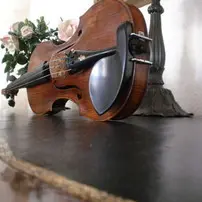 La sonata della violinista precaria