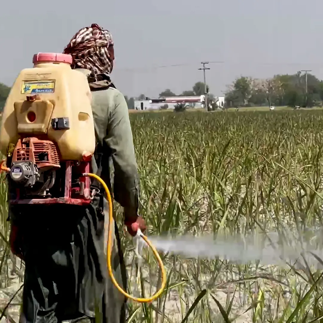 La battaglia contro i pesticidi in agricoltura