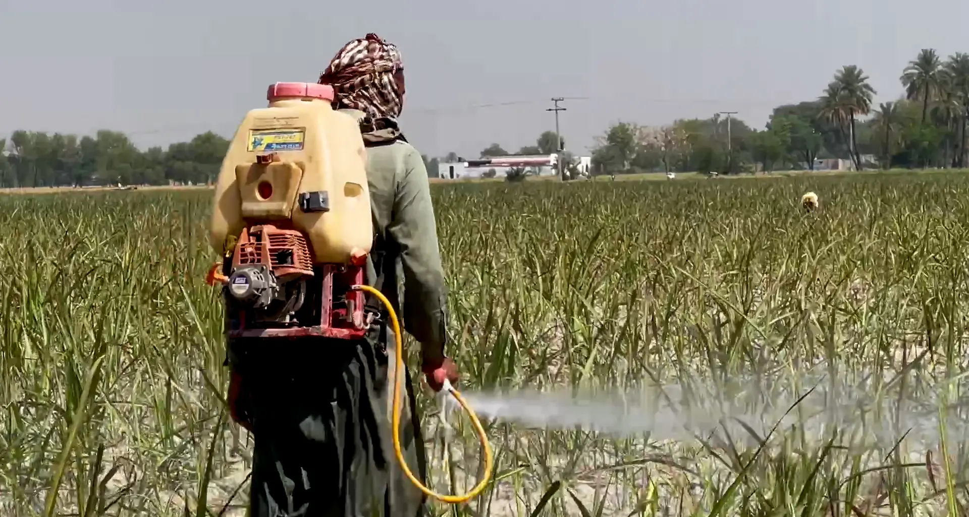 La battaglia contro i pesticidi in agricoltura