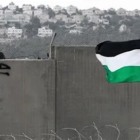 Le piazze italiane per la Palestina
